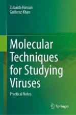 Molecular Techniques for Studying Viruse