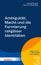 Ambiguitäten - Identitäten - Sinnentwürfe