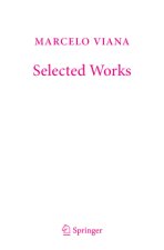 Marcelo Viana - Selected Works