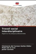 Travail social interdisciplinaire