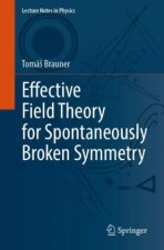 Effective Field Theory for Spontaneously Broken Symmetry