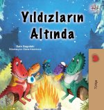 Under the Stars (Turkish Children's Book)