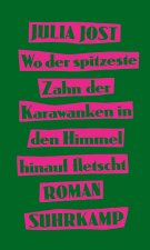 Wo der spitzeste Zahn der Karawanken in den Himmel hinauf fletscht