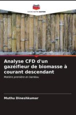 Analyse CFD d'un gazéifieur de biomasse ? courant descendant