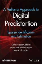 Volterra Approach to Digital Predistortion