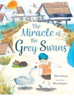 Miracle of the Grey Swans