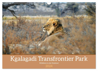 Kgalagadi - Fauna und Wildtiere in der Kalahari (Wandkalender 2024 DIN A3 quer), CALVENDO Monatskalender