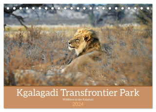 Kgalagadi - Fauna und Wildtiere in der Kalahari (Tischkalender 2024 DIN A5 quer), CALVENDO Monatskalender