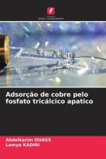Adsorç?o de cobre pelo fosfato tricálcico apatico