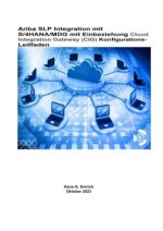 Ariba SLP Integration mit S/4HANA/MDG mit Einbeziehung Cloud Integration Gateway (CIG) Konfigurations-Leitfaden