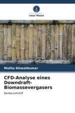 CFD-Analyse eines Downdraft-Biomassevergasers