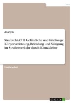 Strafrecht AT II. Gefährliche und fahrlässige Körperverletzung, Beleidung und Nötigung im Straßenverkehr durch Klimakleber