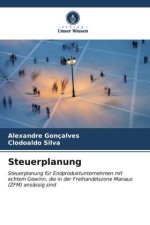 Steuerplanung