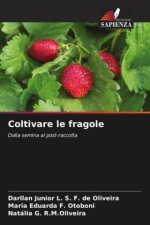 Coltivare le fragole