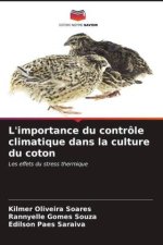 L'importance du contrôle climatique dans la culture du coton