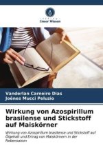 Wirkung von Azospirillum brasilense und Stickstoff auf Maiskörner