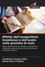 Effetto dell'azospirillum brasilense e dell'azoto sulla granella di mais