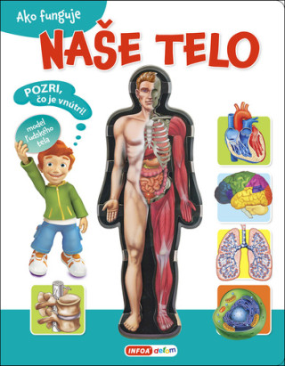 Ako funguje naďż˝e telo
