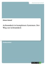 Achtsamkeit in komplexen Systemen. Der Weg zur Achtsamkeit