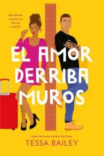 EL AMOR DERRIBA MUROS LAS REFORMAS DEL AMOR 2