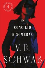 UN CONCILIO DE SOMBRAS COLORES DE LA MAGIA VOL 2