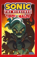 SONIC THE HEDGEHOG TIPOS MALOS