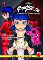 PRODIGIOSA AVENTURES LADYBUG GAT NOIR 3