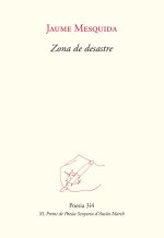 Zona de desastre