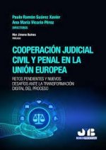 COOPERACION JUDICIAL CIVIL Y PENAL EN LA UNION EUROPEA.