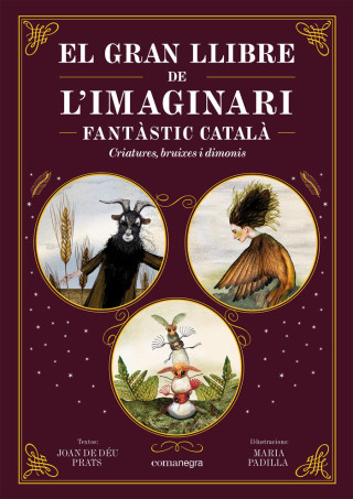 EL GRAN LLIBRE DE LIMAGINARI FANTASTIC CATALA