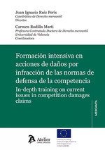 FORMACION INTENSIVA EN ACCIONES DE DAÑOS POR INFRACCION DE LAS NO