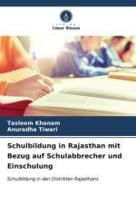 Schulbildung in Rajasthan mit Bezug auf Schulabbrecher und Einschulung