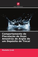 Comportamento de Floculação de Duas Amostras de Argila de um Depósito de Tincal