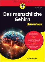 Das menschliche Gehirn f r Dummies