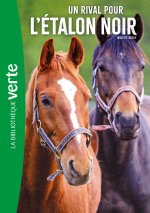 L'Etalon noir NED 14