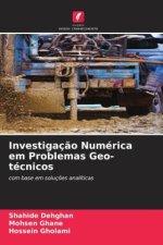 Investigação Numérica em Problemas Geo-técnicos