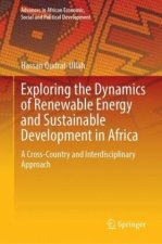 Exploring the Dynamics of Renewable Energy and Sustainable Development in Africa