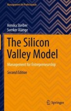 The Silicon Valley Model