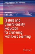 Feature and Dimensionality Reduction for Clustering with Deep Learning