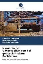 Numerische Untersuchungen bei geotechnischen Problemen