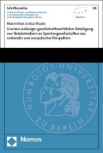 Grenzen zulässiger gesellschaftsrechtlicher Beteiligung von Netzbetreibern an Speichergesellschaften aus nationaler und europäischer Perspektive