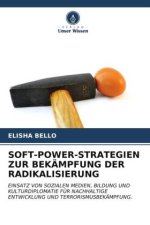 SOFT-POWER-STRATEGIEN ZUR BEKÄMPFUNG DER RADIKALISIERUNG