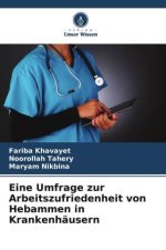 Eine Umfrage zur Arbeitszufriedenheit von Hebammen in Krankenhäusern