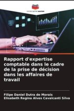 Rapport d'expertise comptable dans le cadre de la prise de décision dans les affaires de travail