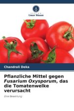 Pflanzliche Mittel gegen Fusarium Oxysporum, das die Tomatenwelke verursacht