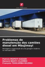 Problemas de manutenç?o dos cami?es diesel em Mbujimayi