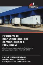 Problemi di manutenzione dei camion diesel a Mbujimayi
