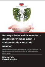 Nanosyst?mes médicamenteux guidés par l'image pour le traitement du cancer du poumon