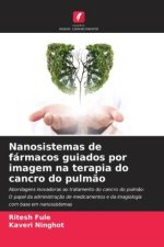 Nanosistemas de fármacos guiados por imagem na terapia do cancro do pulm?o