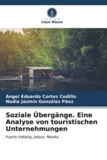 Soziale Übergänge. Eine Analyse von touristischen Unternehmungen